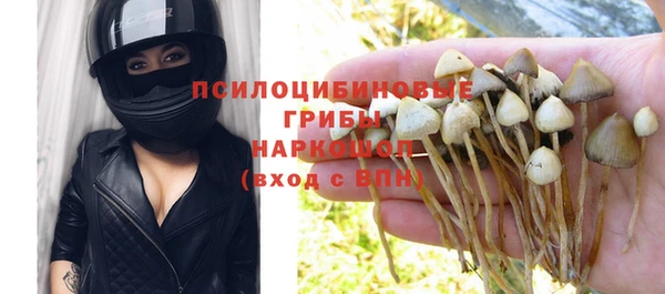 крисы Алексеевка