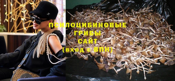 ПСИЛОЦИБИНОВЫЕ ГРИБЫ Россошь