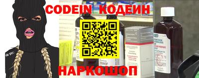 гашик Кунгур