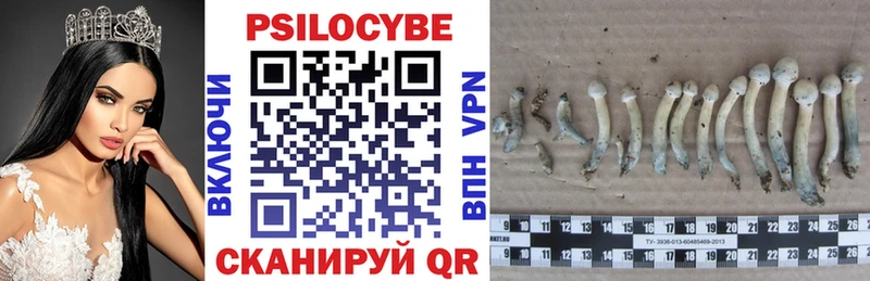 как найти   Азов  Галлюциногенные грибы мухоморы 